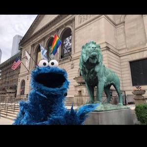 Meet your Posher, Jenn